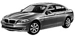 BMW F10 P2632 Fault Code